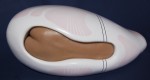 capsule-2-frnt-view capsule-2-frnt-view