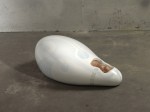 capsule-3 capsule-3