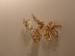 dsc01564 dsc01564