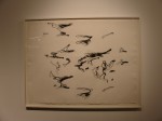 dsc01565 dsc01565