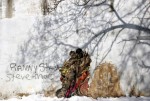 img_1790 img_1790