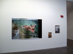 img_2156 img_2156