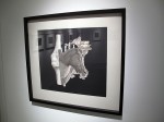 img_2164 img_2164