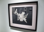 img_2165 img_2165