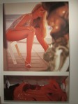 img_45251