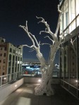 Breathtaking Ugo Randinone sculpture on the freezing terrace!
