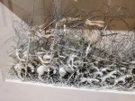 img_4548