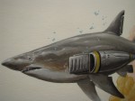 img_4563