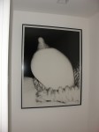 dsc01924