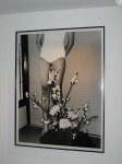 dsc01929