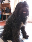 img_4981 img_4981