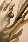 img_9110_ethos_cu_a img_9110_ethos_cu_a