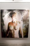 img_9269_art_a img_9269_art_a