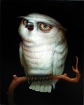 owlsmall Mike Brown