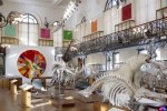 damien-hirst-exhibition-oceanographic-museum-of-monaco-3 damien-hirst-exhibition-oceanographic-museum-of-monaco-3