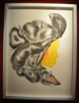 dsc_0469 dsc_0469