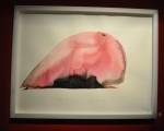 dsc_0476 dsc_0476