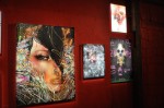 dsc_0533 dsc_0533