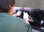 img_58781 img_58781