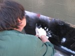 img_5879 img_5879