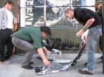 img_5917 img_5917