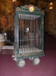 Caged Tweety