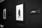 picture-7