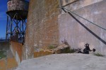 banskyrat1 Alcatraz