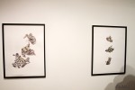 img_4433_art_a