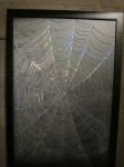 img_7207 img_7207