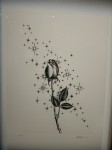 img_7212 img_7212