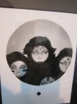 img_7585