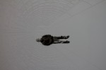 img_8986 img_8986