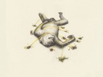 kirsty_whiten_bug-monkeysm Kirsty Whiten - Bug Monkey