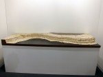Christo