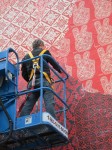 img_6904 img_6904
