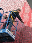 img_6906 img_6906