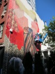 img_7005 img_7005