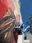 img_7006 img_7006