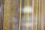 img_8276
