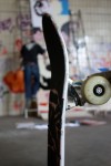 img_8488 img_8488