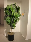 img_8502