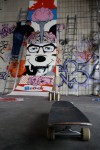 img_8554 img_8554