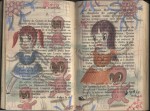 lasauvagechouchou172
