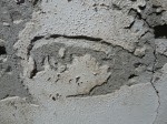 p1070201