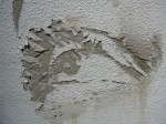 p1070209