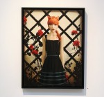 botanica_gingercat botanica_gingercat