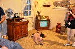 dsc_0054 dsc_0054