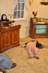 dsc_0055 dsc_0055
