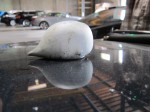 img_6294 img_6294
